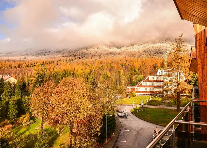 Hotelovy Alfred C406